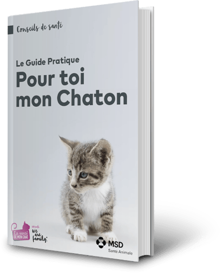 Cover_Family_Member_Cat_FR Cover_Family_Member_Cat_FR